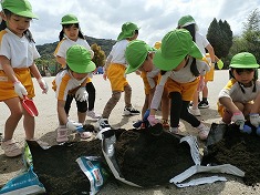 ☆　野菜の苗植え(５歳児)　☆
