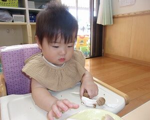 きのこの房分け